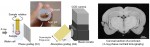 ImageJ=1.45s